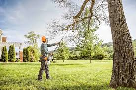 How Our Tree Care Process Works  in  Pine Mountain Clu, CA